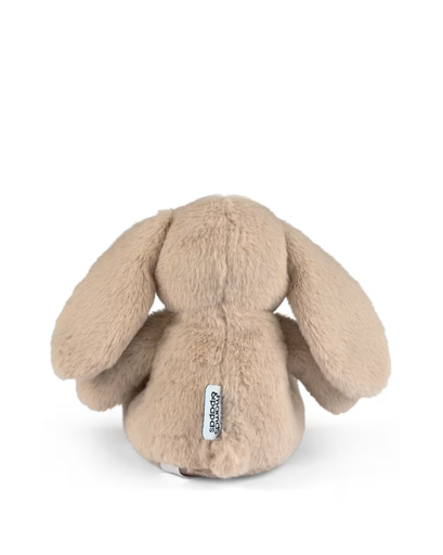 Small Bunny Soft Toy